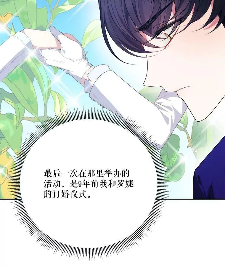 43.计划派对41