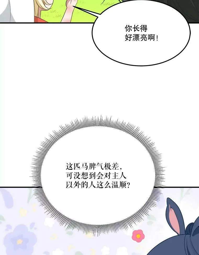 25.亲和力11