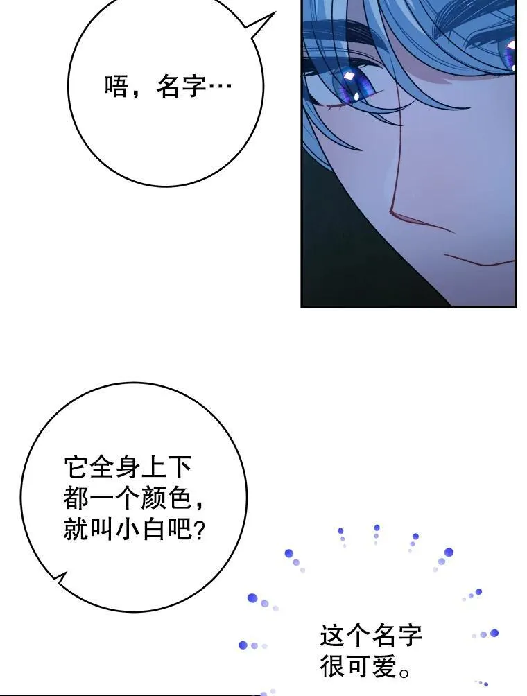 91.礼物62