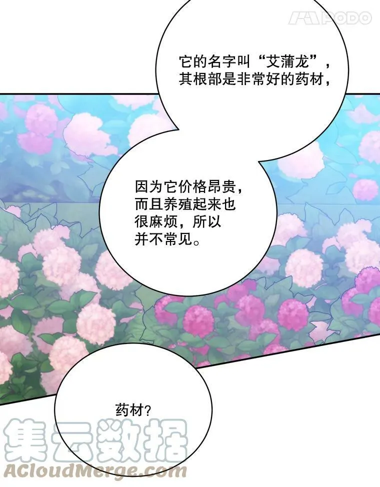 49.皇帝的礼物44