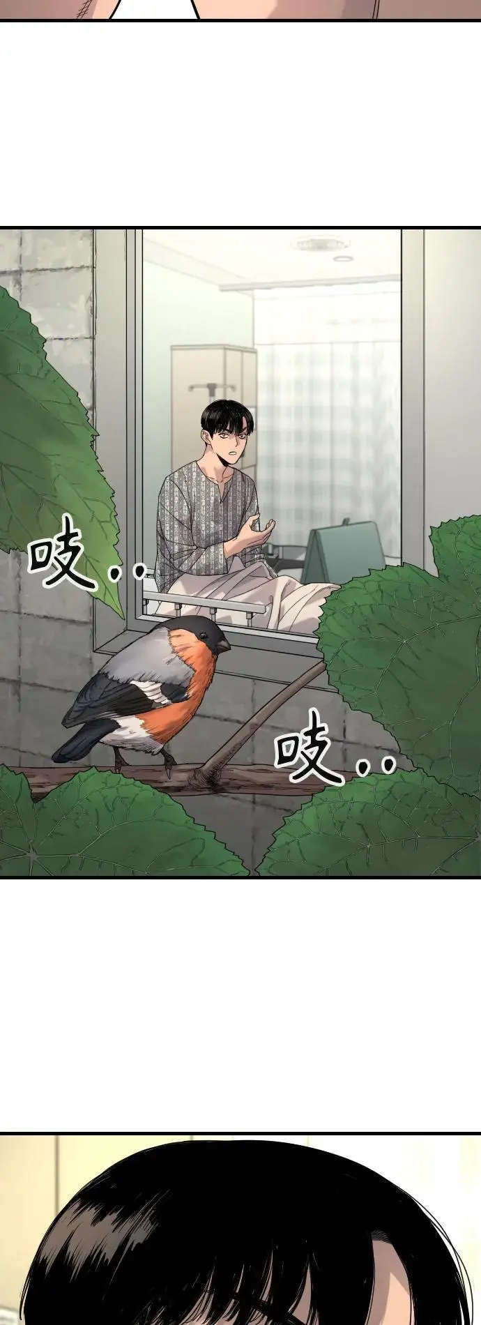 [第28话] 梧桐上的凤凰67