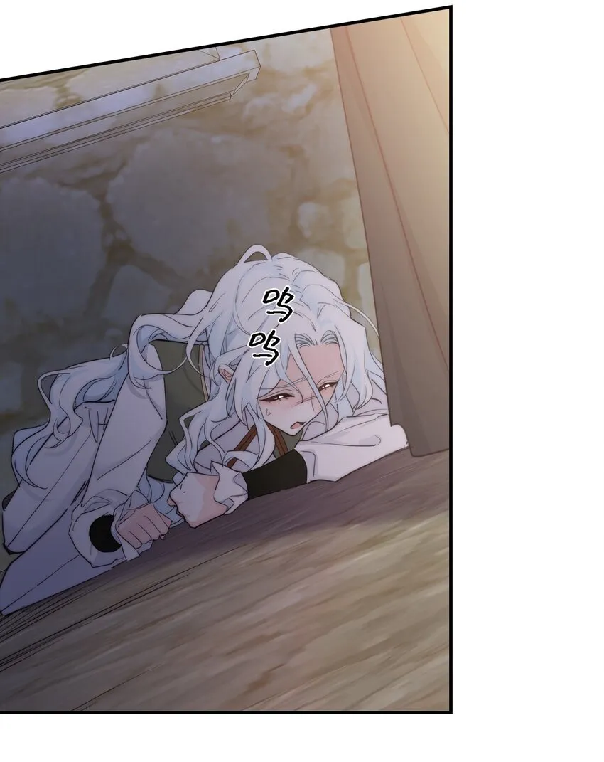 004 魔女血脉8