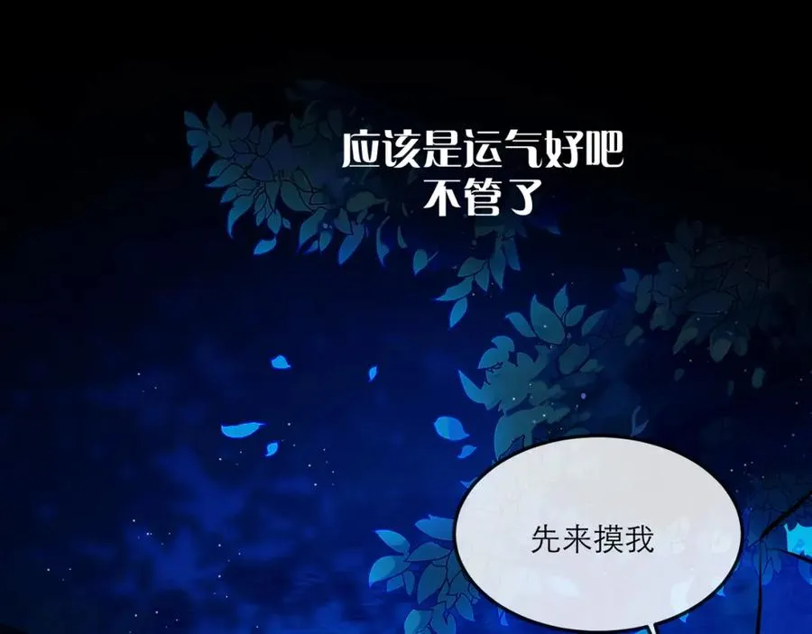 16 先摸我11
