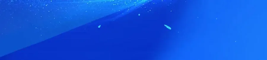 11带你去浪漫的土耳其52