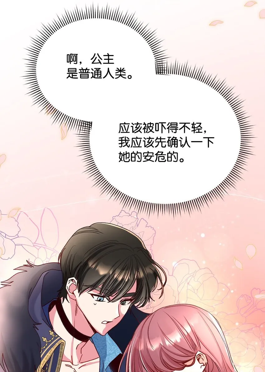 05 这里没有你要的东西25