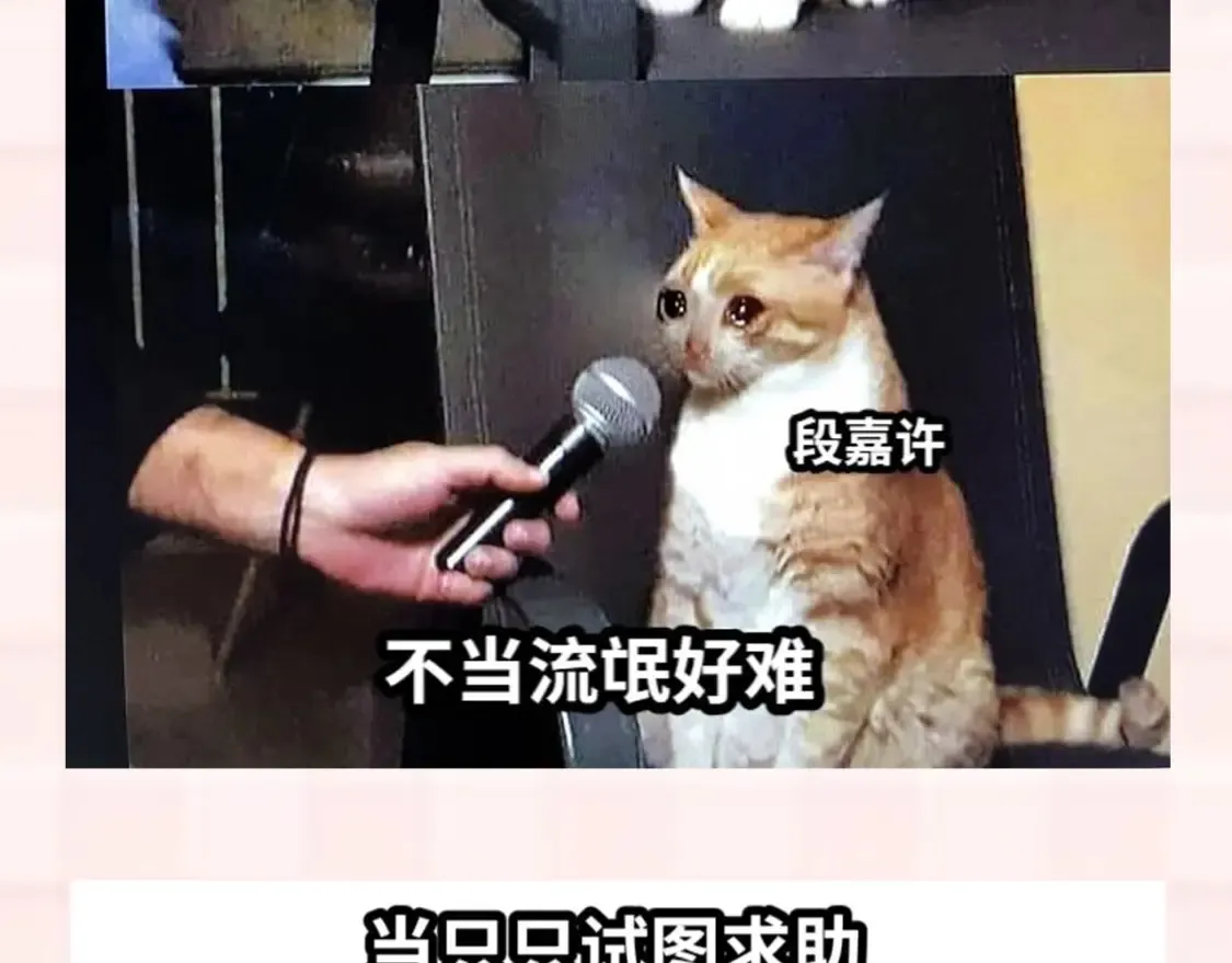 第37期 梗图第二期来噜9