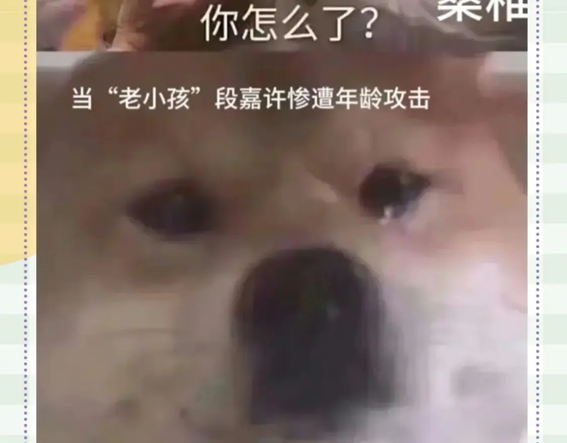 第48期 8月整活总结18
