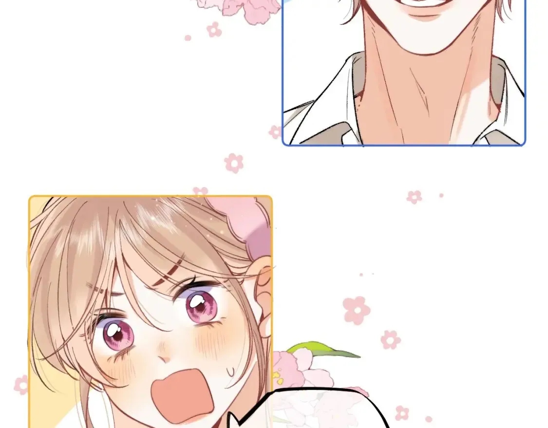 43 我们只只也得有45