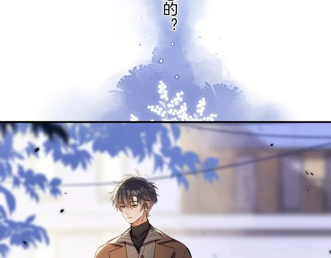 31 像不像49
