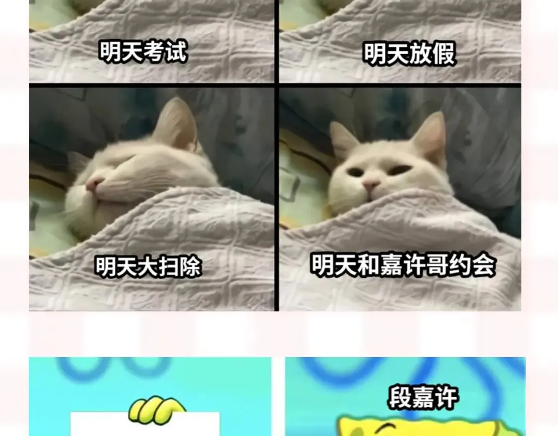 第37期 梗图第二期来噜6