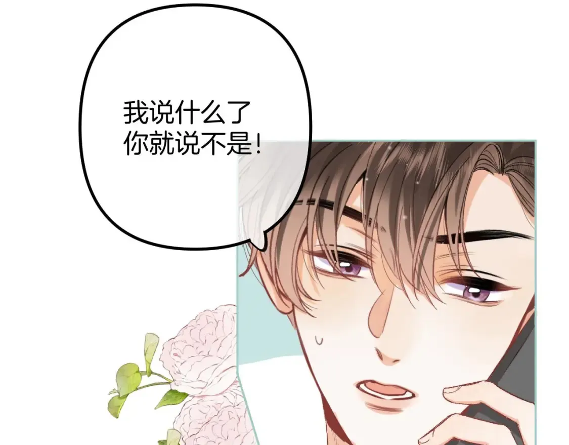 43 我们只只也得有33