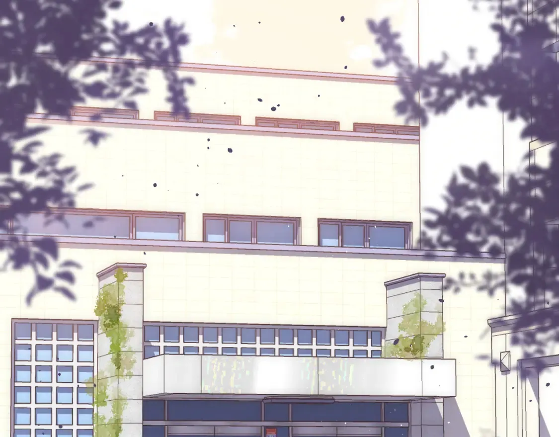 31 像不像85