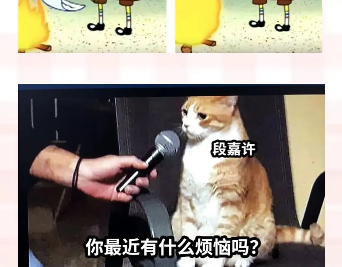 第37期 梗图第二期来噜8