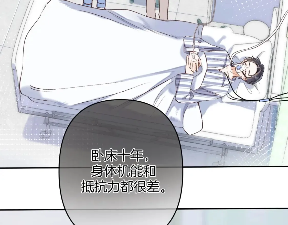 31 像不像6
