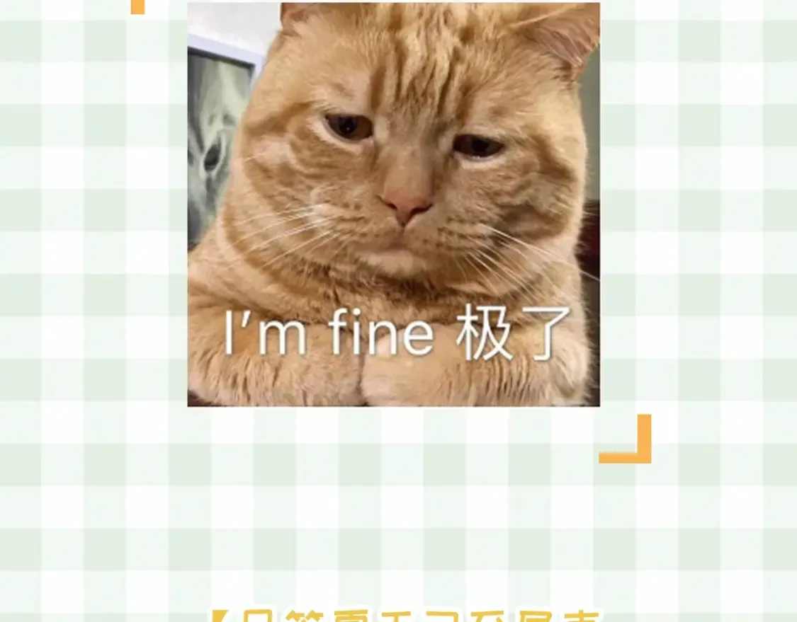 第48期 8月整活总结4