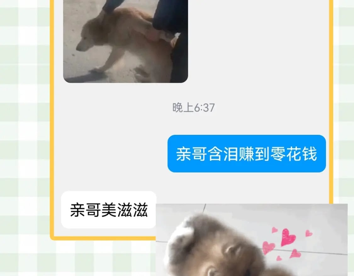 第23期【特别企划】暗恋茶话会21