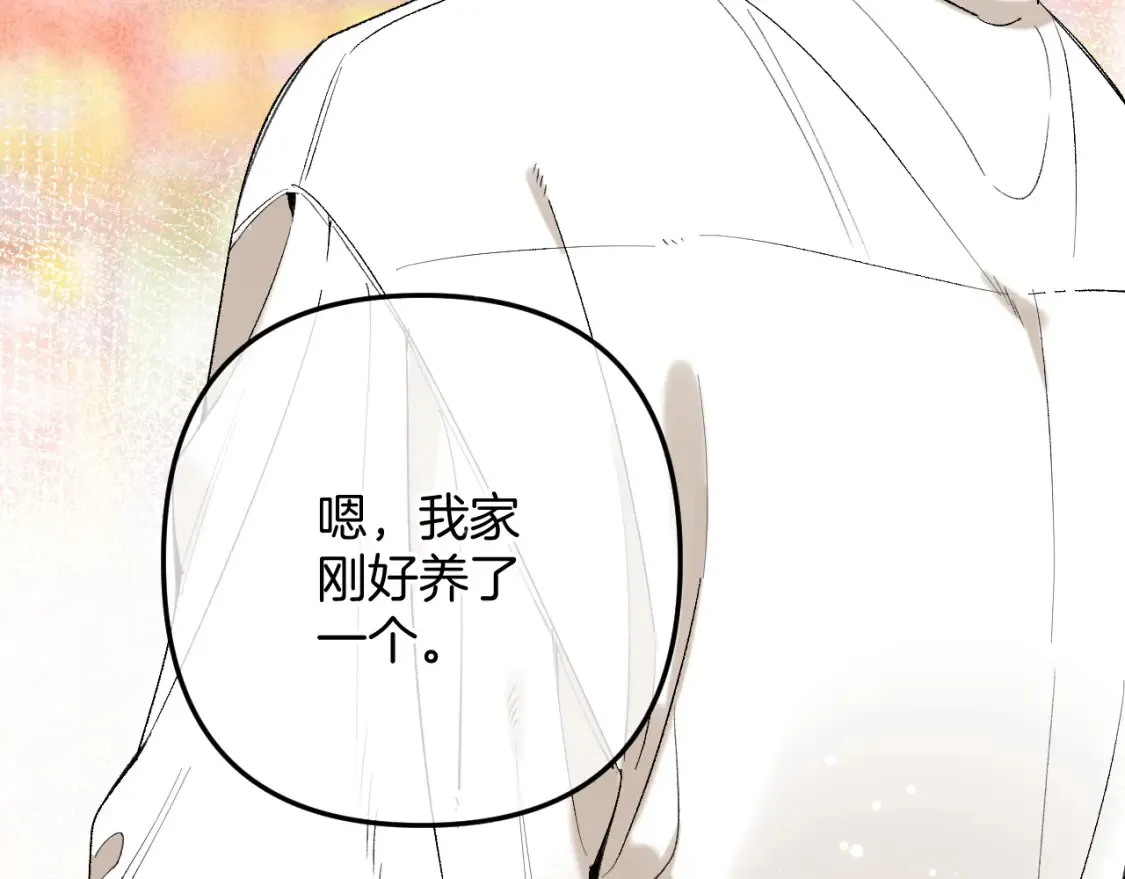 44 假如23