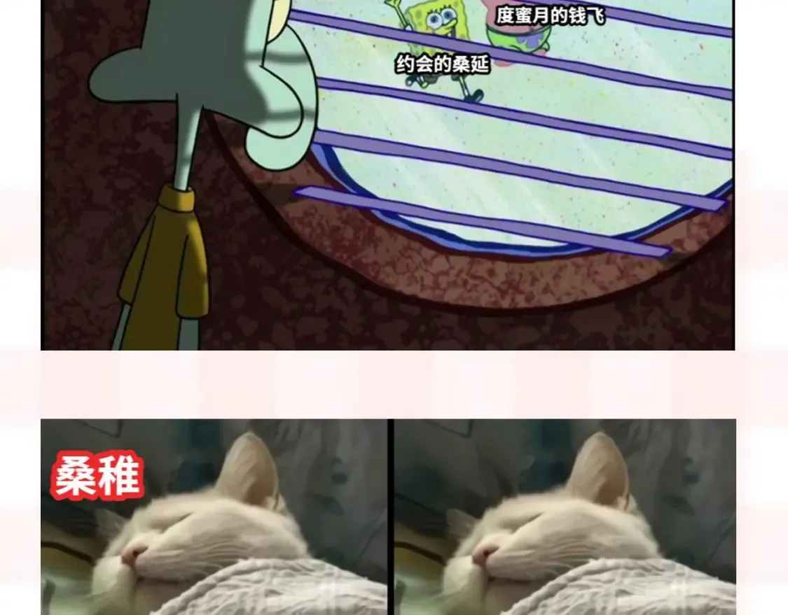第37期 梗图第二期来噜5