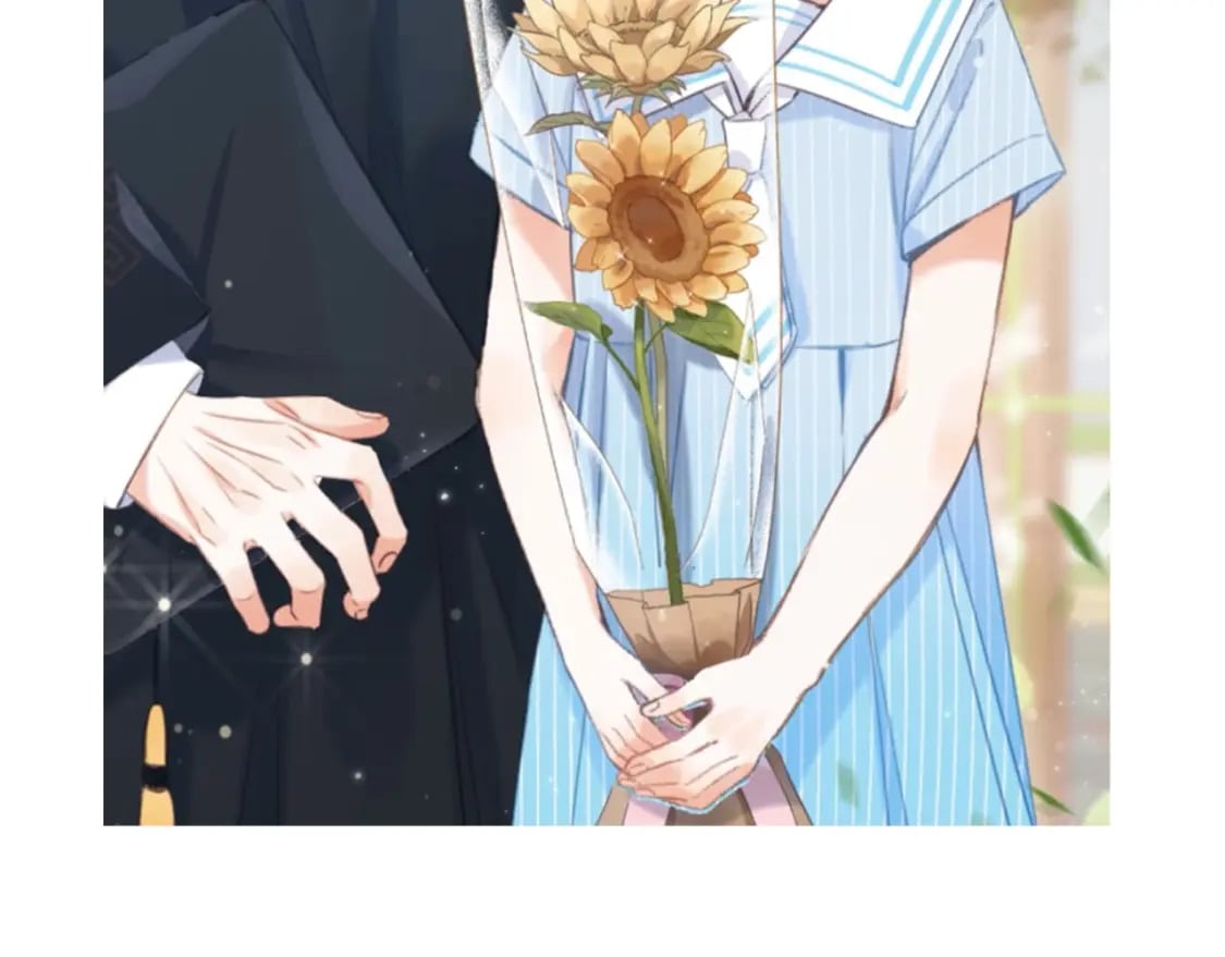 第6期 动态壁纸放送！8