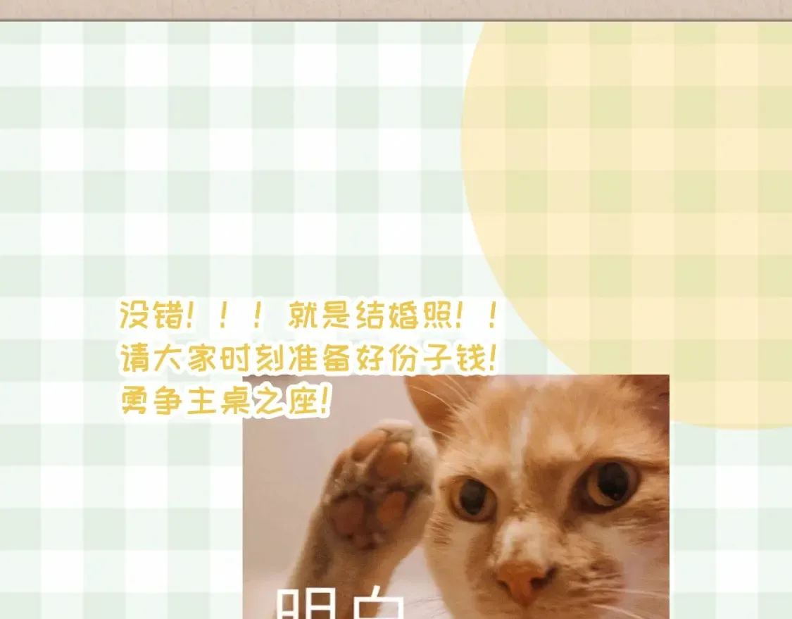 第33期 漫画角色证件一览！17