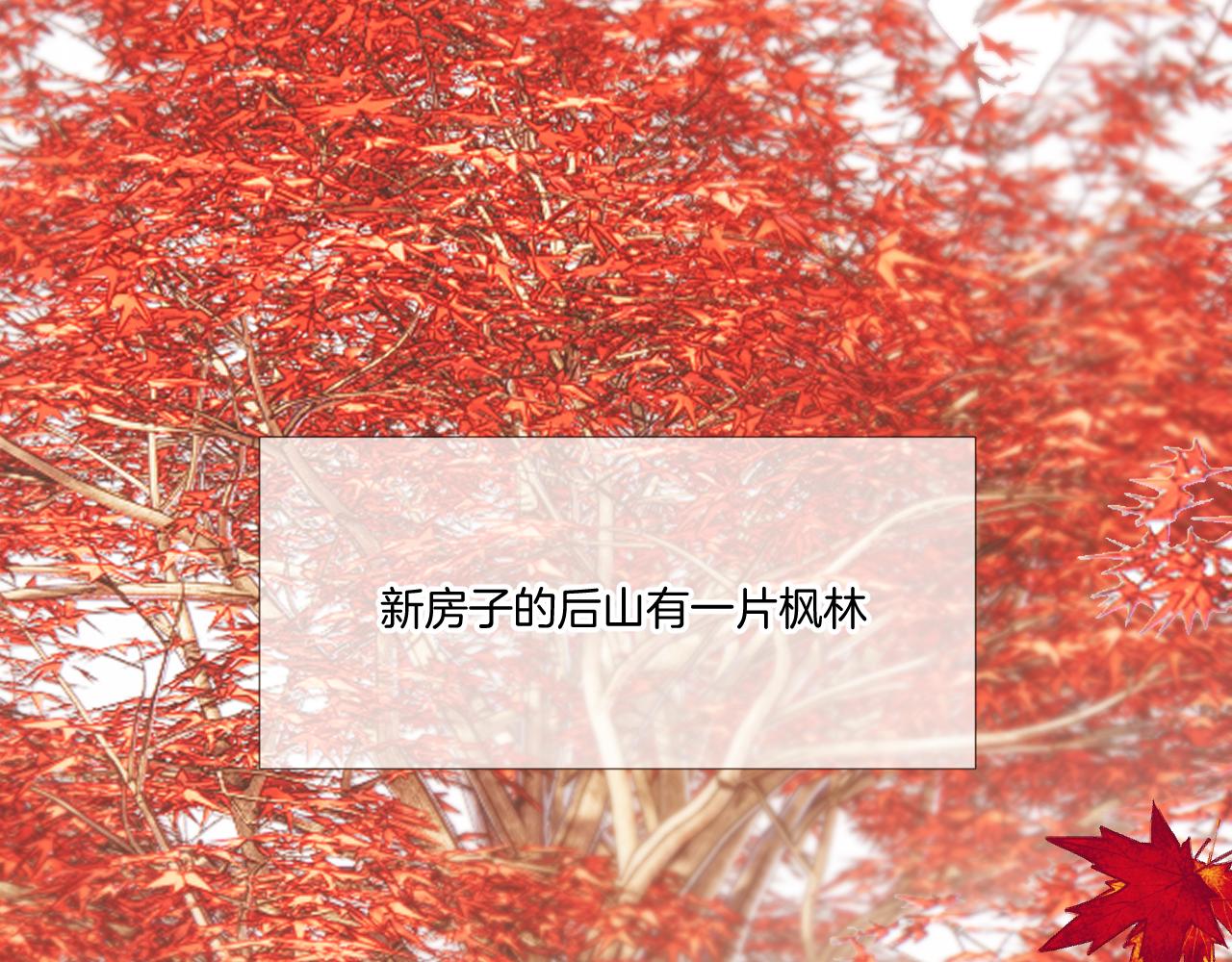 枫与樱（番外篇）80