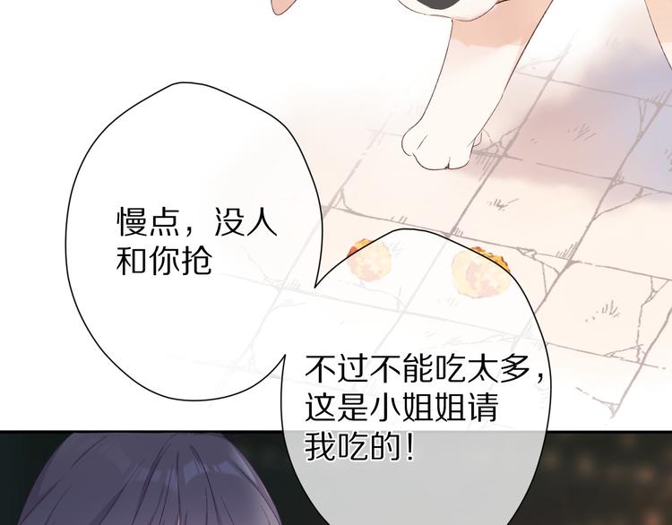第59章 你的男孩56