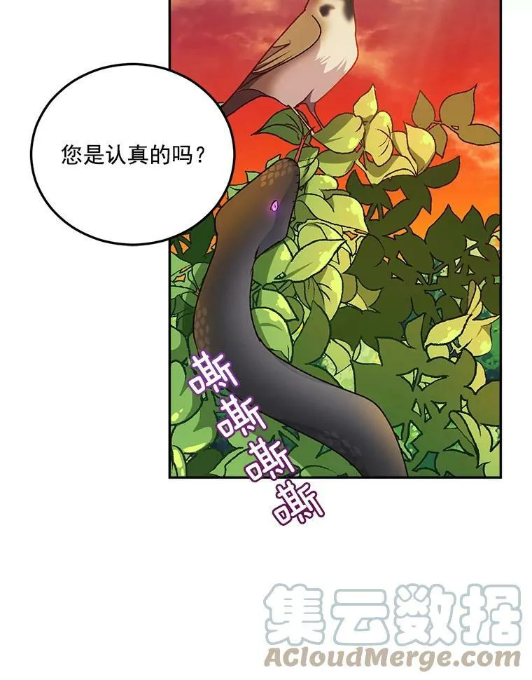 7.决定参与游戏57
