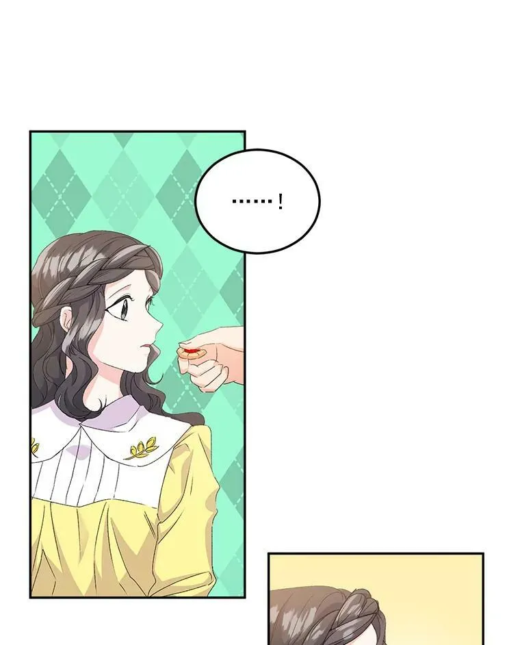 19.艾宝妮的新计划37