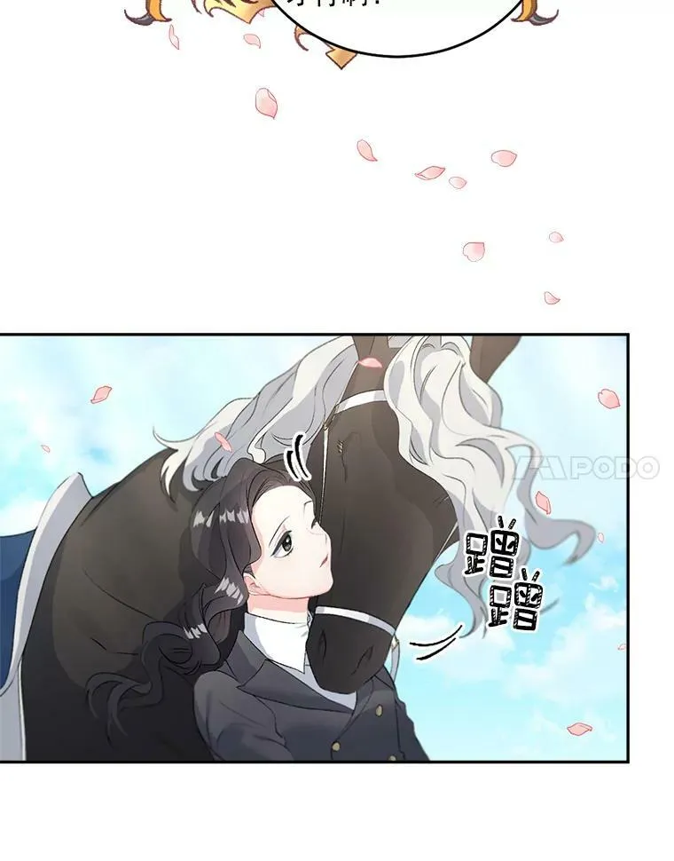 51.马库斯的报复43