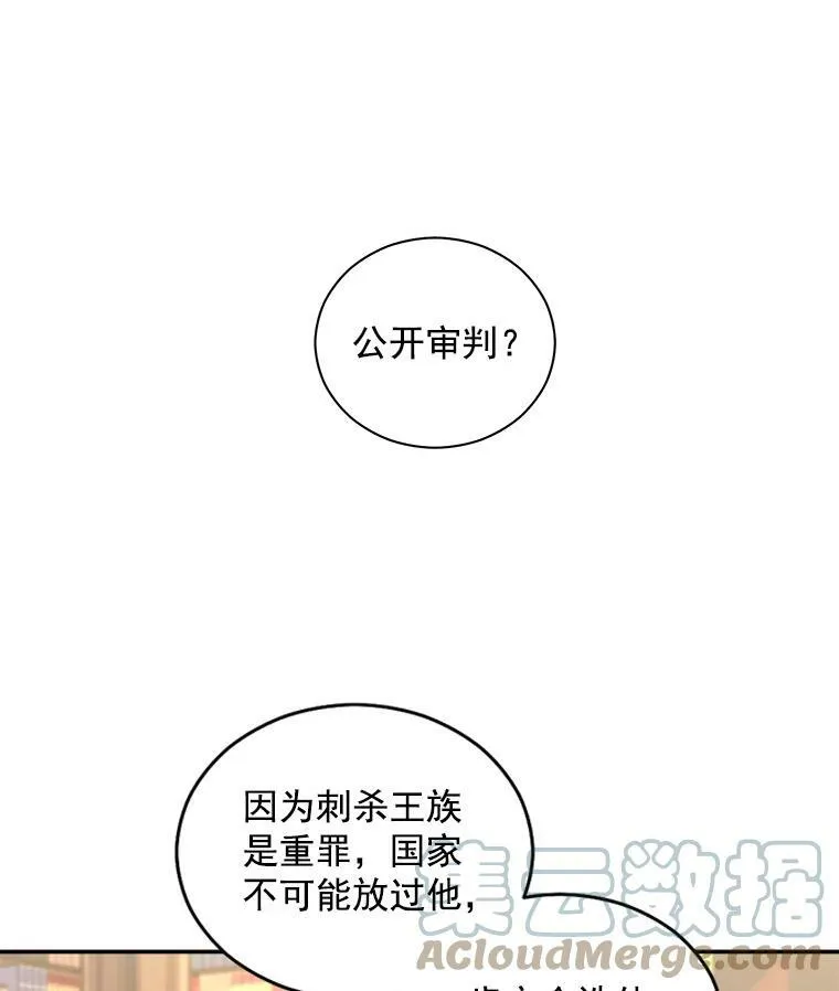 53.大公的意图9