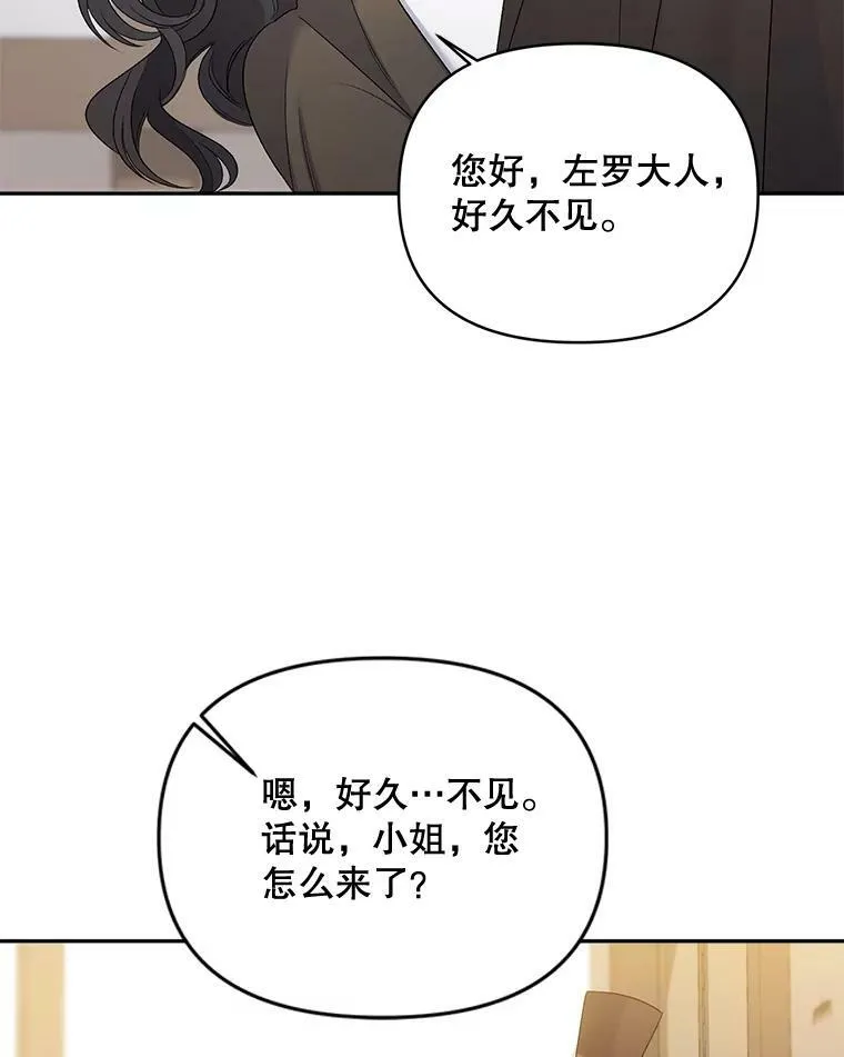 88.专家11