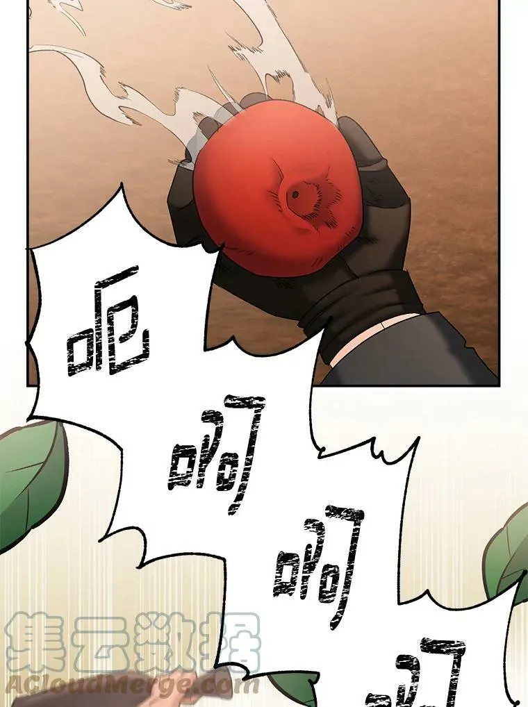 107.狐狸的圈套24