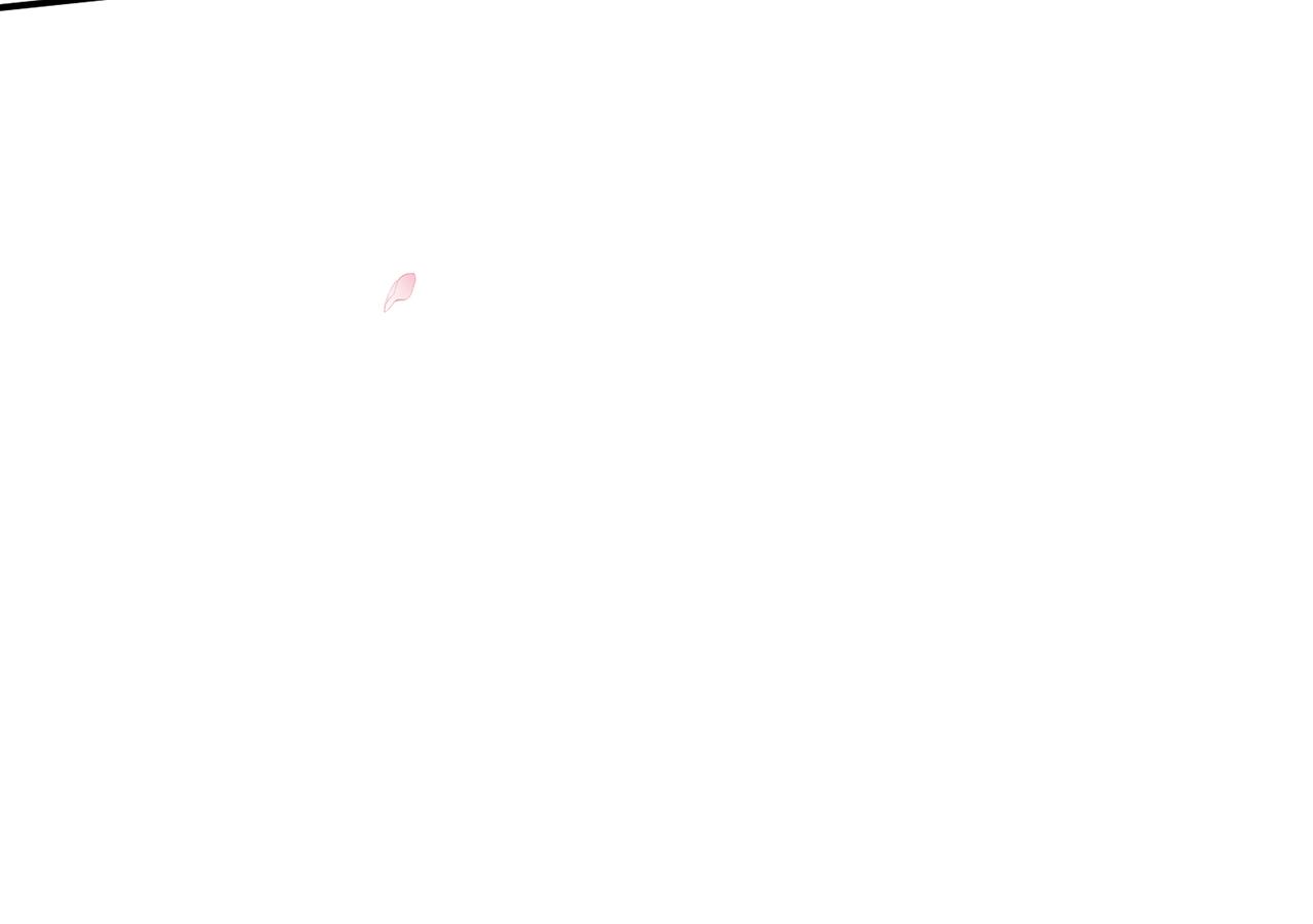 第409 送老婆上班99