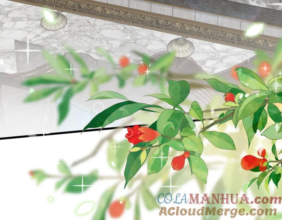 第490 撮合24