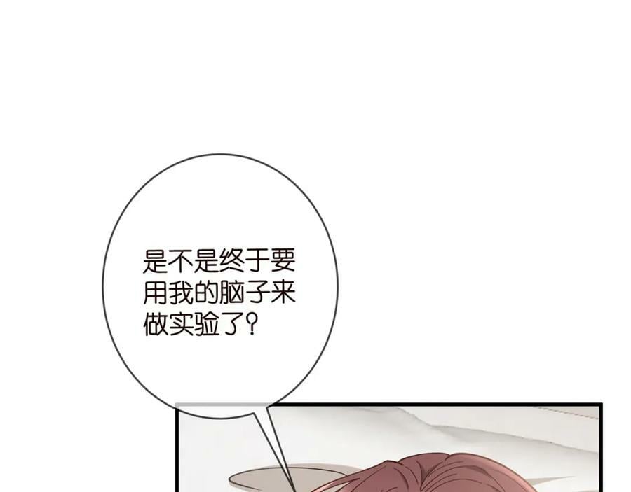第477 飞鹰的秘密5