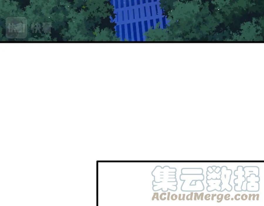 第444 菜鸡互啄52