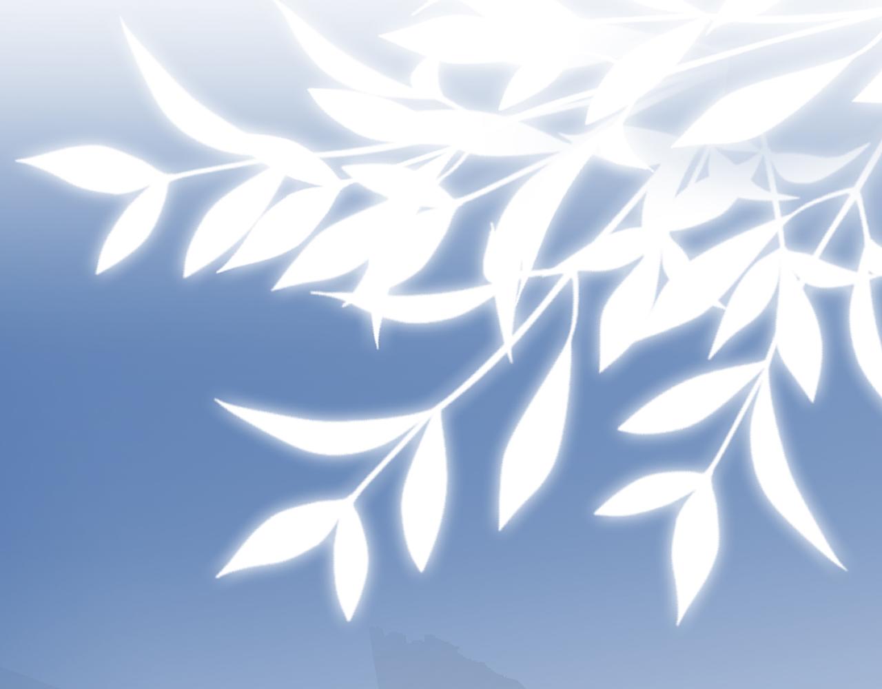 第371 天价分手费100