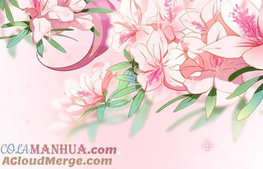 第491 我爱你16
