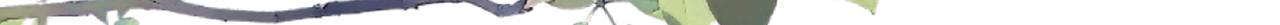 第373 恶意袭击44