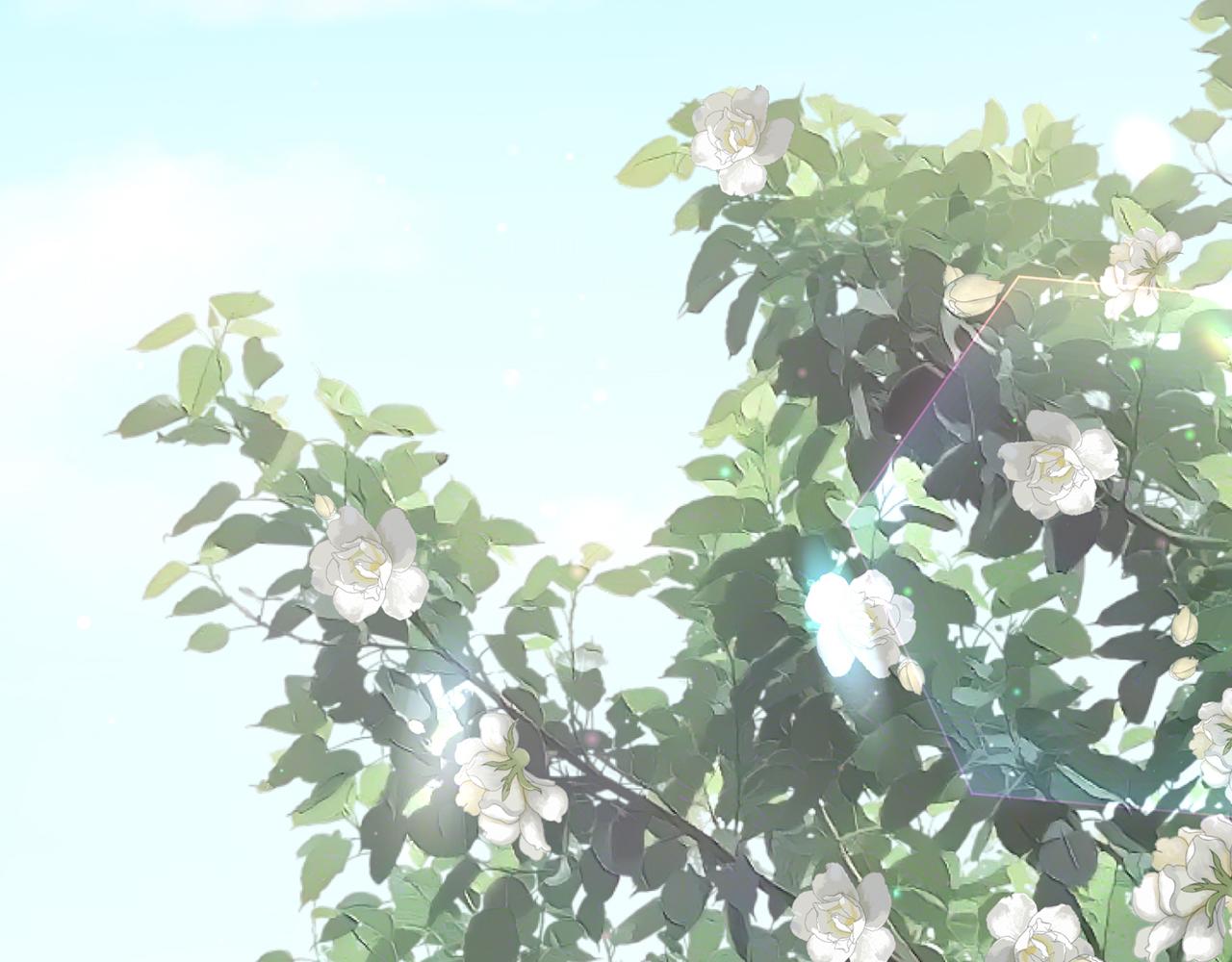 第393 哥哥带你走67