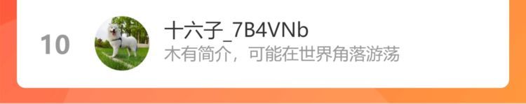 第221话 暗杀114