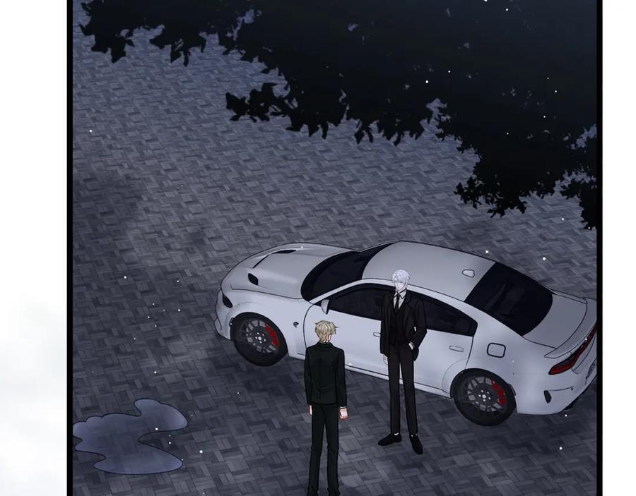 第492 白桦的忠心30