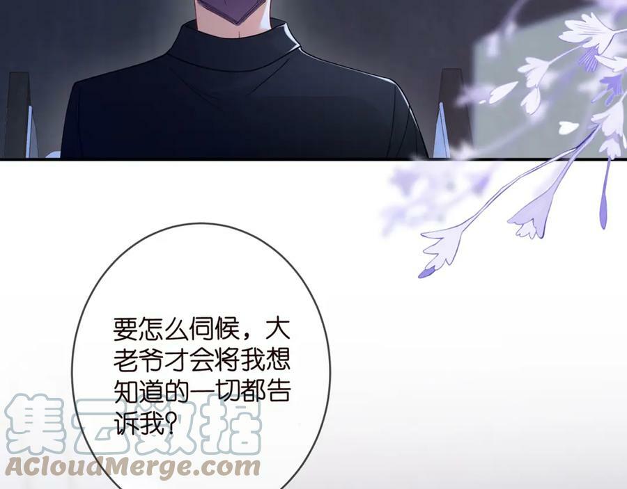 第440 美妙的夜晚12