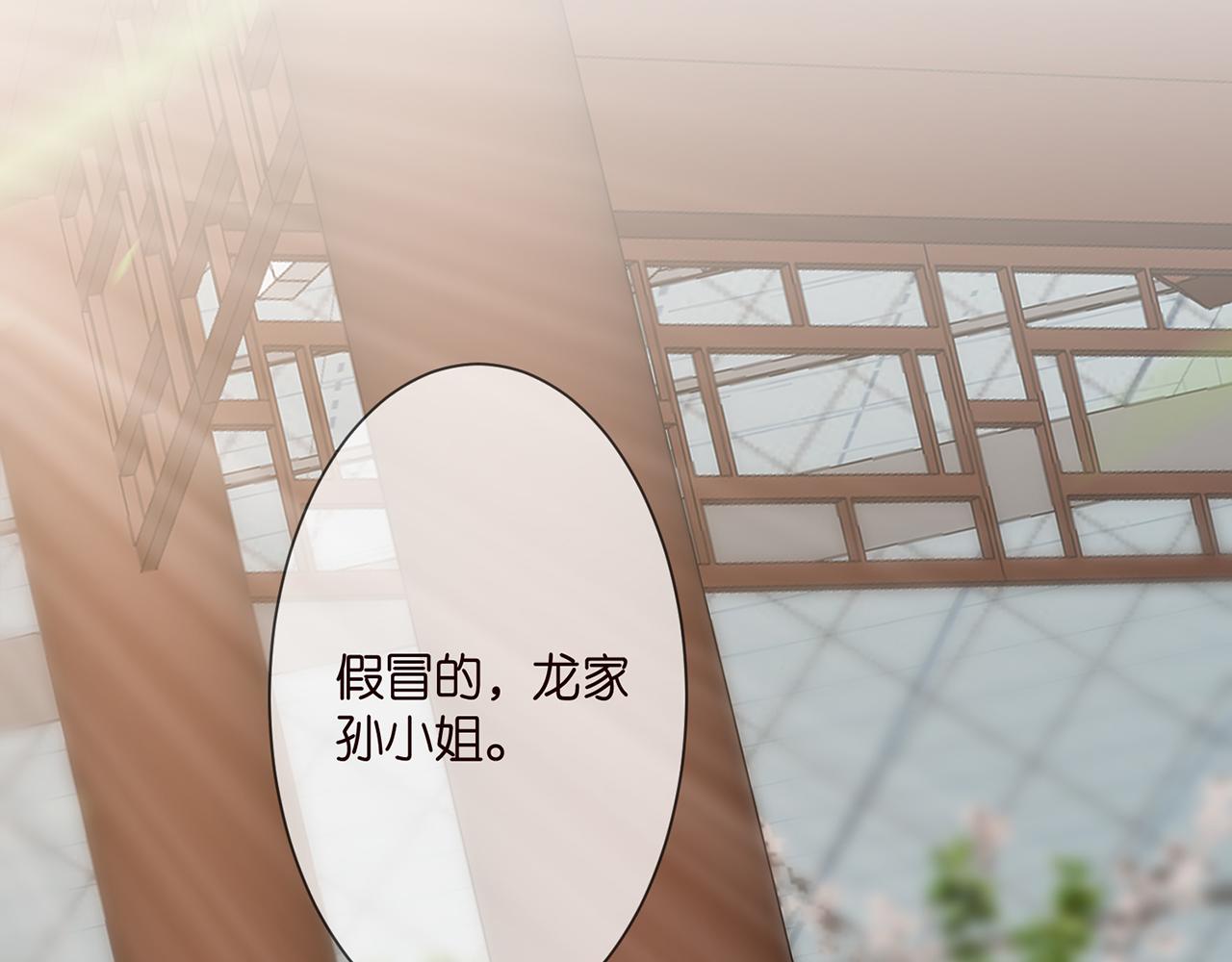 第285 冒牌货94