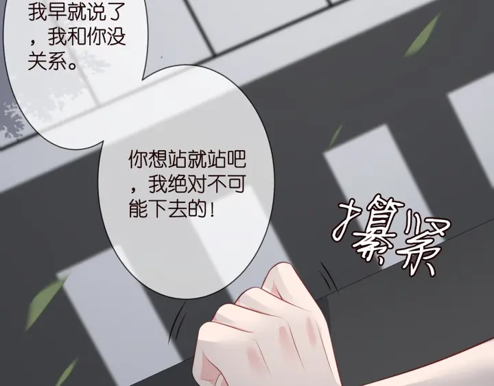 第255 特殊的日子46
