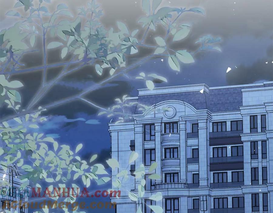第447 豪门内幕84