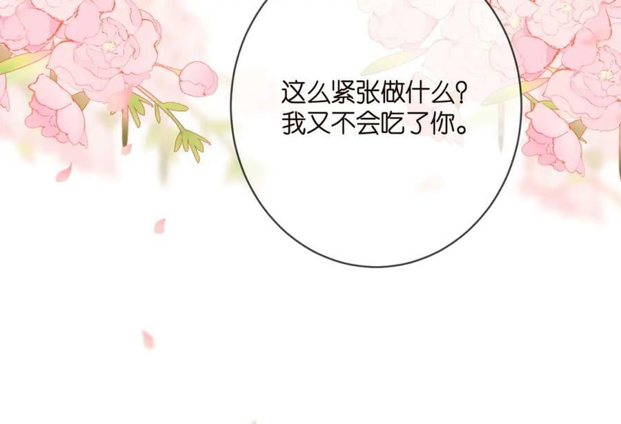 第444 菜鸡互啄15