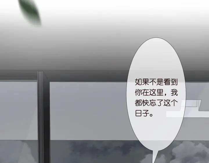 第255 特殊的日子20
