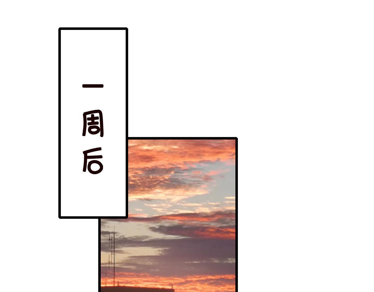 第269 可可，对不起44