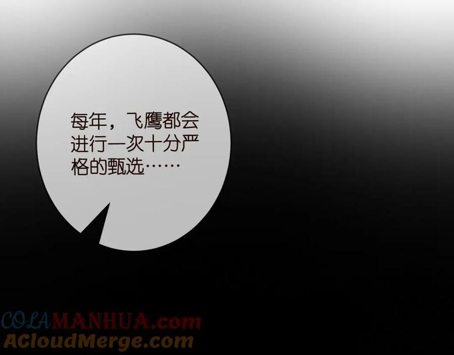 第477 飞鹰的秘密52